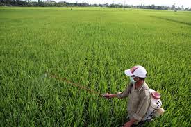 ກວດກາການສະຫນອງດິນປຸກສ້າງ, ດິນຜະລິດໃຫ້ແກ່ຊາວຊົນເຜົ່າສ່ວນຫນ້ອຍ