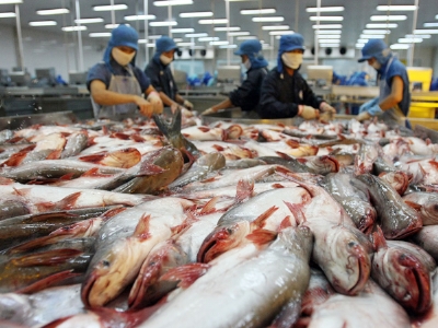 ສ້າງໂຄງປະກອບວິສາຫະກິດຄືນໃໝ່ - ພຶດຕິກຳຕົວຈິງໃນການນຳຮັບໃຊ້ໃຫ້ແກ່ວິສາຫະກິດຫວຽດນາມ