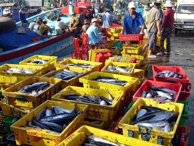 ບັນດາປະເທດສະມາຊິກຄະນະກຳມະການການປະມົງ ອາຊີ - ປາຊີຟີກ ຄວນຮ່ວມມື ແລະ ເປັນເອກະພາບ