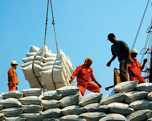 ການສົ່ງອອກເຂົ້າສານໃນ 9 ເດືອນຜ່ານມາບັນລຸກວ່າ 2,4 ຕື້ USD