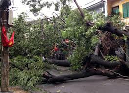 ສືບຕໍ່ແກ້​ໄຂ​ຜົນ​ຮ້າຍ​ຢ່ອນ​ຫລັງ​ຈາກ​ພະຍຸ Son Tinh