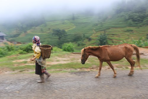 ບັນດາເສັ້ນທາງໃໝ່ຢູ່ເມືອງເມື່ອງເຄືອງ