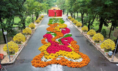 ງານບຸນດອກໄມ້ - ງານຕະຫລາດນັດບຸນເຕັດ