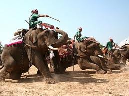 ງານບຸນຊ້າງຢູ່ລາວໄດ້ດຶງດູດ ແຂກທ່ອງທ່ຽວນັບແສນຄົນ