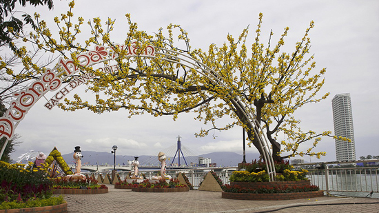 ຖະໜົນດອກໄມ້ ແບກດັງ, ດານັ້ງ