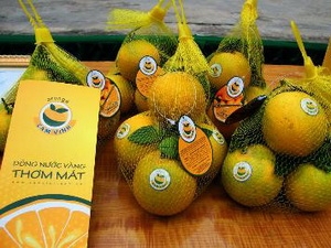 ເພີ່ມທະວີການເຄື່ອນໄຫວປົກປ້ອງການແນະນຳທາງພູມສາດບັນດາສະຫະສະມາຄົມໝູ່ບ້ານອາຊີບຂອງຫວຽດນາມ