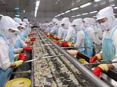 ອາເມລິກາ ຈັດວາງພາສີຕ້ານການຊ່ວຍໜູນ ລາຄາສຳລັບກຸ້ງແຊເຢັນຂອງ ຫວຽດນາມ ແລະ ຫຼາຍປະເທດ