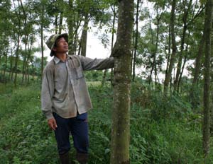 ພິທີເຊີດຊູ “ເພື່ອພາລະກິດລົບລ້າງຄວາມອຶດຫີວ, ຫຼຸດຜ່ອນຄວາມທຸກຍາກ“