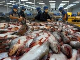 ສະຫະສະມາຄົມປາຈາຫວຽດນາມຄັດຄ້ານລັດຖະບານອາເມລິກາ