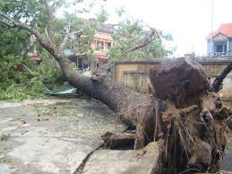 ສຸມໃສ່ແກ້ໄຂຜົນຮ້າຍຢ່ອນຫລັງຈາກພາຍຸWutip