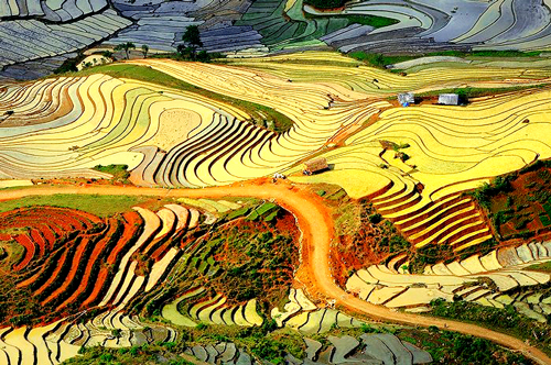 ລາວກາຍ ຈະຕ້ອນຮັບ ແຂກທ່ອງທ່ຽວໃນໂອກາດ ສະເຫຼີມສະຫຼອງ 110 ປີແຫ່ງວັນທ່ອງທ່ຽວ ຊາປາ