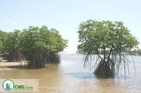 ເວທີປາໄສປະຈຳປີເຂດແຄມທະເລອາຊີຕາເວັນອອກສຽງໃຕ້ຄັ້ງທີ2