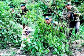 ຮ່ວມມືຕໍ່ສູ້ປ້ອງກັນ,ຕ້ານຢາເສບຕິດແລະອາດຊະຍາກຳຂ້າມຊາຍແດນ