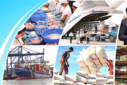 ຫວຽດນາມຍັງຄົງພັດທະນາເສດຖະກິດມະຫາພາກເປັນປົກກະຕິ