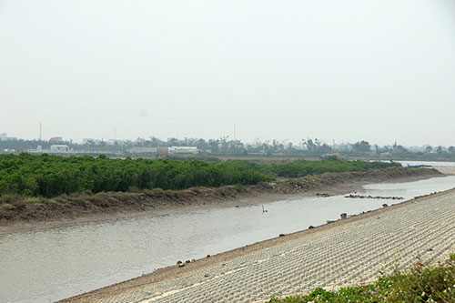 ເລີ່ມດຳເນີນໂຄງການ“ໜູນຊ່ວຍຮັບມືກັບການປ່ຽນແປງຂອງດິນຟ້າອາກາດຢູ່ປ່າແລະເຂດທົ່ງພຽງຂອງຫວຽດນາມ”