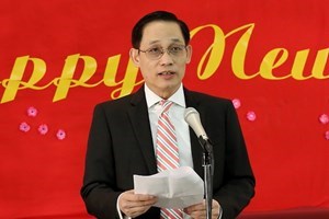 ປະຊາຄົມຊາວຫວຽດນາມ ອາໄສຢູ່ອັງກິດ,ອາເມລິກາ ຕ້ອນຮັບບຸນປີໃໝ່ ປະຈຳຊາດ