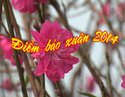 ທົບທວນຄືນບັນດາຫນັງສືພິມລະດູບານໃຫມ່ປີມະເມຍ 2014