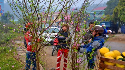 ຕະຫຼາດດອກໄມ້ບຸນເຕັດຢູ່ແຂວງລາວກາຍຄຶກຄື້ນມ່ວນຊື່ນ