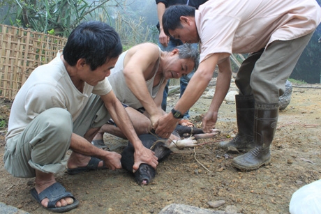 ຊາວເຜົ່າເມື່ອງບີ ໃນແຂວງຮ່ວາບິງຕອ້ນຮັບບຸນເຕັດ