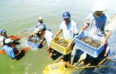 ປີ 2014 ການສົ່ງອອກສິນໃນນຳ້ຂອງຫວຽດນາມ ບັນລຸກວ່າ 6,7 ຕື້ USD