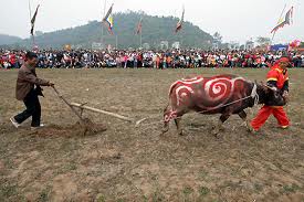 ງານບຸນລົງໄຮ່ໄຖນາຢຸູ່ຮ່ານາມ