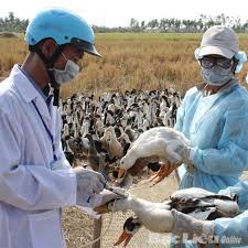 ຫວຽດນາມເພີ່ມທະວີການກວດກາຜູ້ໂດຍສານ,ພາຫະນະຜ່ານດ່ານຊາຍແດນ