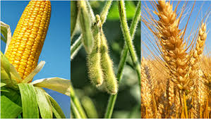 ເຊັນສັນຍາຮ່ວມມືດ້ານກະສິກຳລະຫວ່າງຫວຽດນາມ-Mozambiq