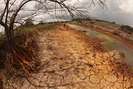 ຫວຽດນາມຮຽກຮ້ອງໃຫ້WHOເພີ່ມທະວີການເຄື່ອນໄຫວຮັບມືກັບການປ່ຽນແປງຂອງດິນຟ້າອາກາດຢ່າງມີປະສິດທິຜົນ