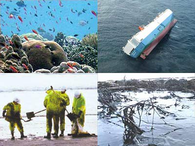 ວັນບຸນ“ຮ່ວມແຮງຮ່ວມໃຈເພື່ອສິ່ງແວດລ້ອມຂຽວ,ສະອາດແລະສວຍງາມ”