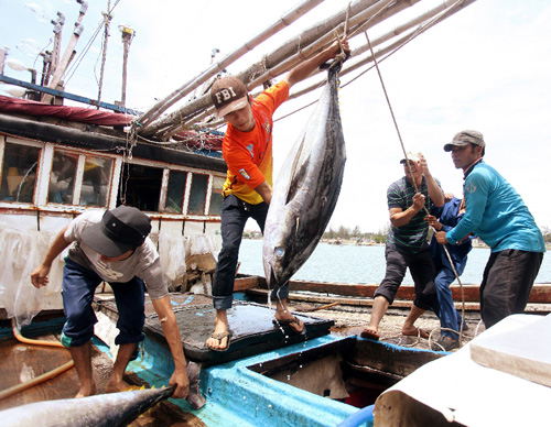 ທະນາຄານແຫ່ງລັດຈະໜູນຊ່ວຍໃຫ້ຊາວປະມົງເດີນເຮືອປະກອບອາຊີບຢູ່ທະເລ