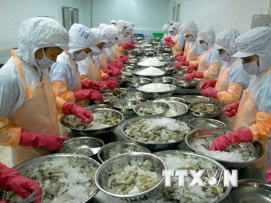 VASEPຟ້ອງຮ້ອງການຈັດວາງອັດຕາພາສີຕ້ານການຂາຍບຸບລາຄາກຸ້ງຫວຽດນາມຄັ້ງທີ8