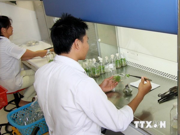 ຫວຽດນາມແລະລາວເພີ່ມທະວີການຮ່ວມມືໃນຂົງເຂດຄວາມປອດໄພປະກາຍລັງສີແລະນິວເຄຼຍ