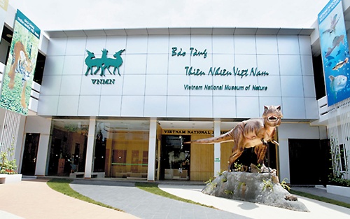 ກໍ່ສ້າງຫໍພິພິດທະພັນທຳມະຊາດຫວຽດນາມ