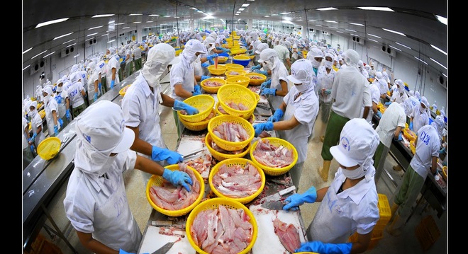 ອາເມລິການຳຫນ້າບັນດາຕະຫລາດນຳເຂົ້າສິນໃນນ້ຳຂອງຫວຽດນາມ