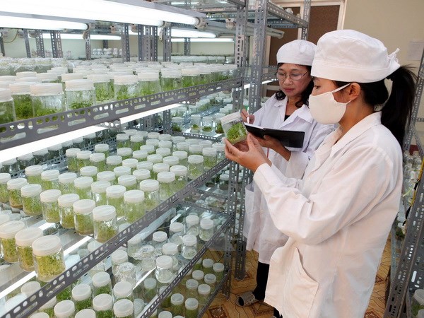 ກອງປະຊຸມຄະນະກຳມາທິການປະສົມຫວຽດນາມ-ຍີ່ປຸ່ນກ່ຽວກັບການຮ່ວມມືວິທະຍາສາດແລະເຕັກໂນໂລຢີ