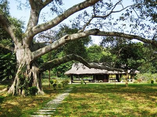 ຕວຽນກວາງ-ນະຄອນຫລວງເຂດປົດປ່ອຍໃນການປະຕິວັດເດືອນສິງຫາ