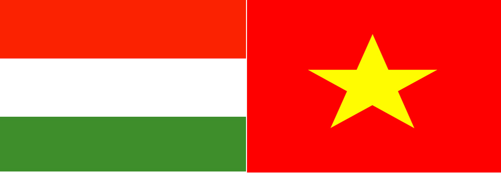 ສະມາຄົມມິດຕະພາບຫວຽດນາ-ຮຸງກາຣີຕ້ອນຮັບຫຼຽນໄຊແຮງງານຊັ້ນ3