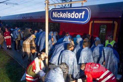 ບັນດາປະເທດເອີລົບພ້ອມກັນເລີ່ມຕົ້ນແກ້ໄຂວິກິດການຊາວອົບພະຍົບ