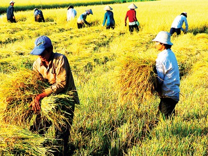 43ລ້ານຄົນຢູ່ຫວຽດນາມຫລຸດພົ້ນອອກຈາກຄວາມອຶດຫິວທຸກຍາກ