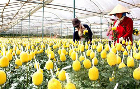 ຢູແກຼນກຽມພ້ອມຊຸກຍູ້ການຮ່ວມມືດ້ານກະສິກຳກັບຫວຽດນາມ