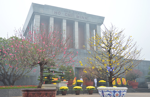 ການເຄື່ອນໄຫວຕ່າງໆຕ້ອນຮັບບຸນເຕັດຂອງປະຊາຊົນໃນທົ່ວປະເທດຫວຽດນາມ