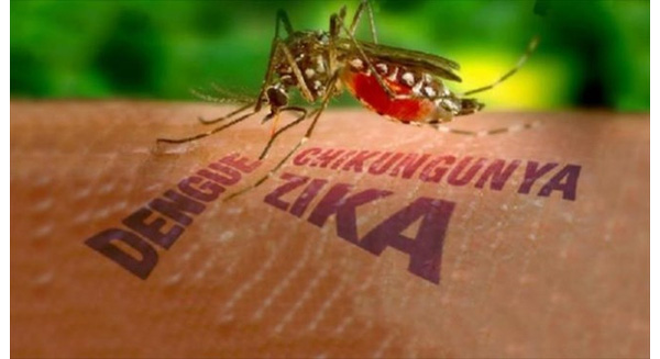ເອົາໃຈໃສ່ເປັນພິເສດເຖິງການຄວບຄຸມໂລກພະຍາດໂດຍໄວຣັດZikaກໍ່ຂຶ້ນຢູ່ດ່ານຊາຍແດນ