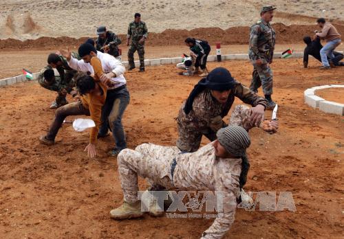 ການນຳເຢຍລະມັນ,ອັງກິດ,ຝຣັ່ງແລະອາເມລິກາຈັດກອງປະຊຸມຜ່ານເຄືອຂ່າຍອິນເຕີເນັດກ່ຽວກັບຊີຣີ