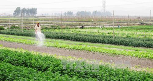 ກະສິກຳຫວຽດນາມຈະໄດ້ຮັບຜົນປະໂຫຍດຈາກTPP