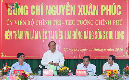 ທ່ານນາຍົກລັດຖະມົນຕີຫງວຽນຊວນຟຸກໄປຢ້ຽມຢາມ,ເຮັດວຽກຢູ່ສະຖາບັນເຂົ້າເຂດທົ່ງພຽງແມ່ນ້ຳຂອງ