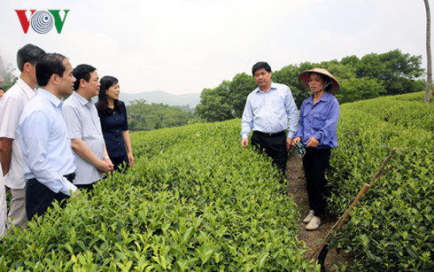 ຮອງນາຍົກລັດຖະມົນຕີເວືອງດີງເຫວ້ເຮັດວຽກກັບແຂວງຕວຽນກວາງ