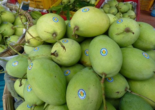 ອາເມລິກາກ້າວໄປເຖິງການອະນຸຍາດນຳເຂົ້າໝາກມ່ວງແລະໝາກນ້ຳນົມຂອງຫວຽດນາມ