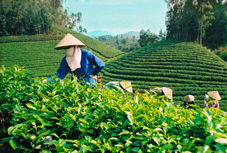 ພົບປະສົນທະນາກ່ຽວກັບການສົ່ງເສີມການລົງທຶນແລະຍົກສູງກຳລັງຄວາມສາມາດແກ້ງແຍ້ງຢູ່ນິວຢອກ
