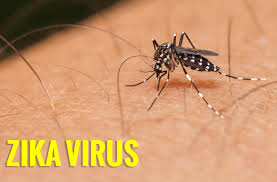 ກ່າວເຕືອນໄວຣັດ Zika ອາດຈະແຜ່ລາມອອກສູ່ອາຊີ -ປາຊີຟີກ